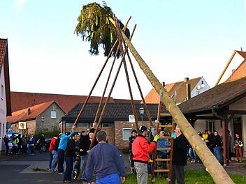 Nicht nur Bäume ausreißen: die Männer vom Stammtisch. Foto: Peter Rauch