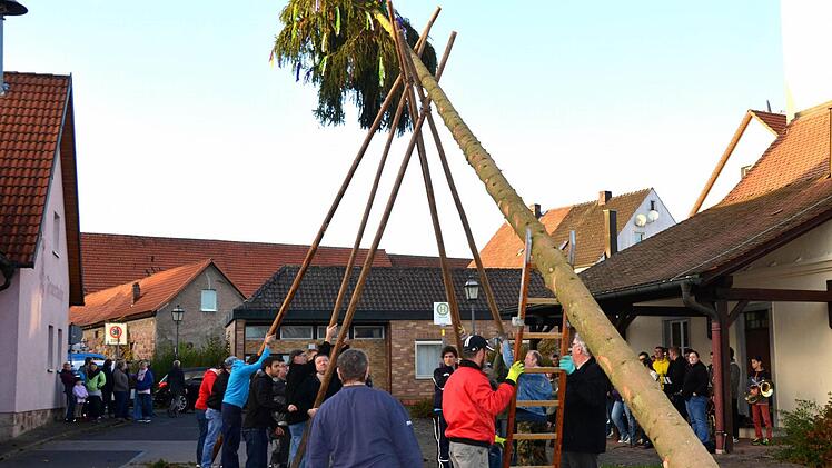 Nicht nur Bäume ausreißen: die Männer vom Stammtisch. Foto: Peter Rauch