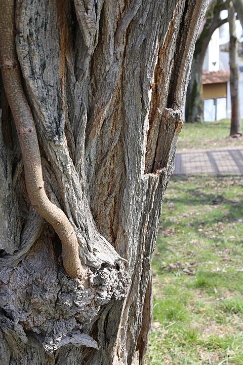 SoS Buchfeld im Lkr. H?chstadt; Foto: Barbara Herbst