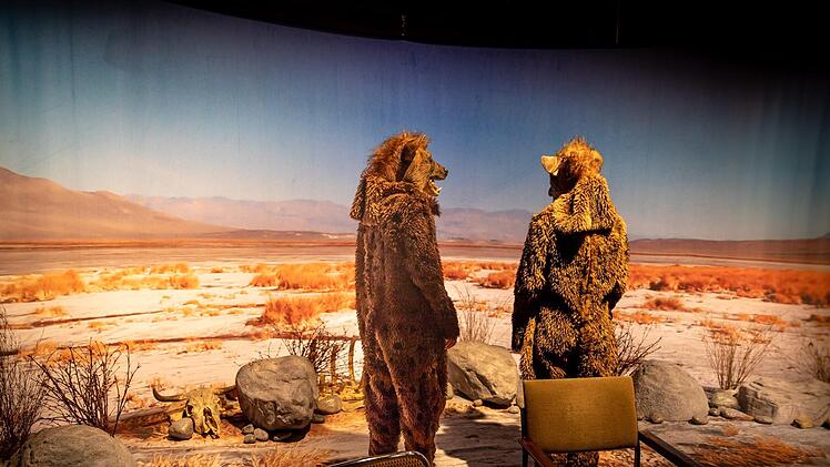 Furioses Kammerspiel: Szene aus der Coburger Erstaufführung der Komödie "Gespräch wegen der Kürbisse" in der Reithalle.Foto: Sebastian Buff
