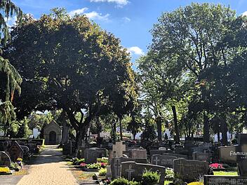 Kronach leuchtet 2027: Friedhof wird Teil des Lichtwegs