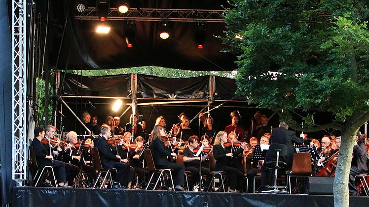 Tolle Stimme beim Open-Air-Konzert "Classic & Picknick" im "Bademehr" in Neustadt.Foto: Jochen Berger