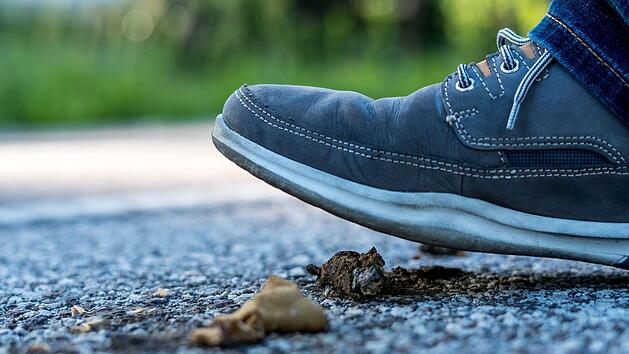 Wenn Hundehalter keine Kotbeutel benutzen und damit die "Tretminen" weniger werden, soll in Rannungen evenuell die Hundesteuer erh&ouml;ht werden.Symbolfoto: MarkusBraun/Adobe Stock