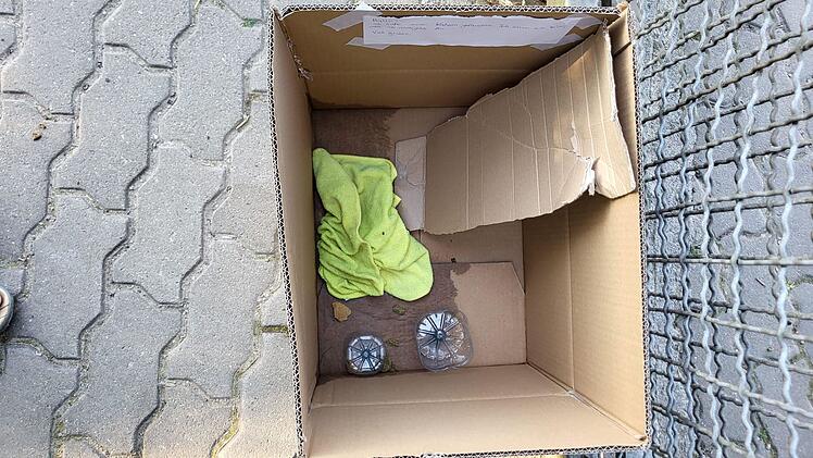 Karton mit zwei "Schüsselchen" aus Plasikflaschen