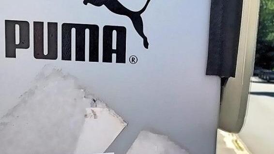 Den Sportartikelhersteller freut diese Art der PR.