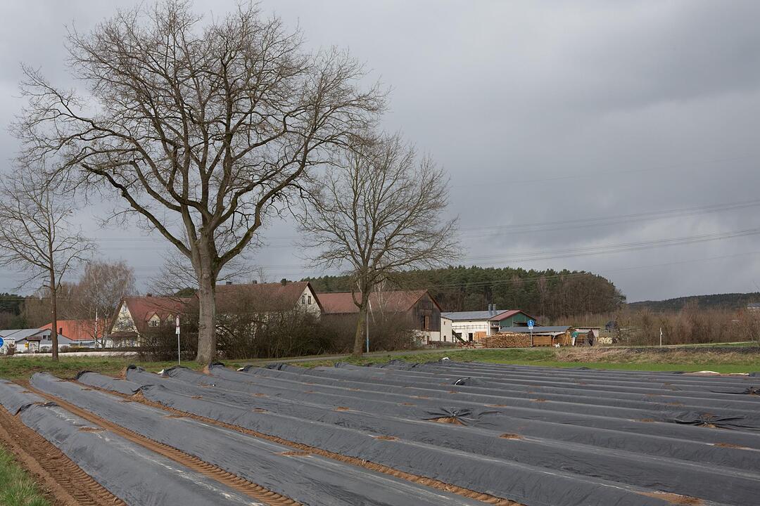 SoS Hausen im Landkreis Forchheim; Foto: Barbara Herbst