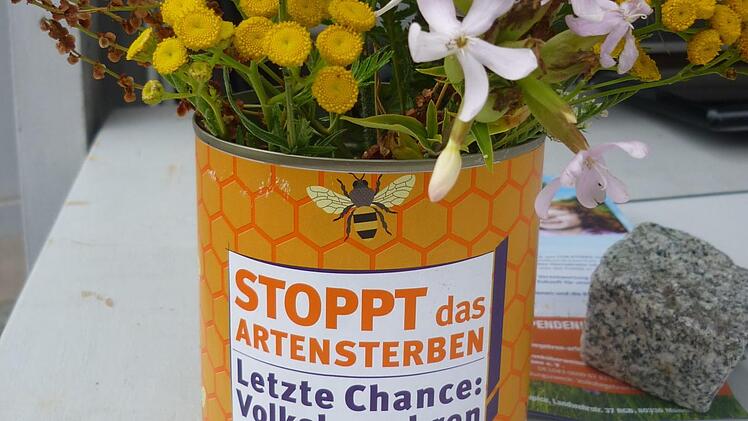 Um das Artensterben zu verhindern, sammelt ein Aktionsbündnis in Ebern Unterschriften. Foto: Thomas Ort