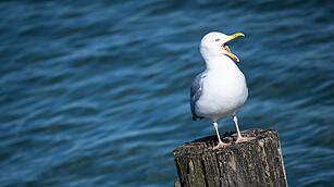 Wetter in Mecklenburg-Vorpommern