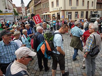 Der Rhöner Wandertag im Rahmen des Stadtjubiläums 2016 lockte viele Wanderfreunde nach Hammelburg. Foto: Archiv/Arkadius Guzy