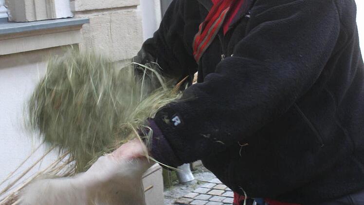 Storchenvater Edmund Lenz