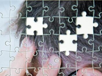 Unser Erinnerungsvermögen ist wie ein Puzzle mit ineinandergreifenden Elementen. Wer an Demenz erkrankt, verliert stückchenweise einzelne Bereiche seines Gedächtnisses. Foto: dpa/Andrea Warnecke