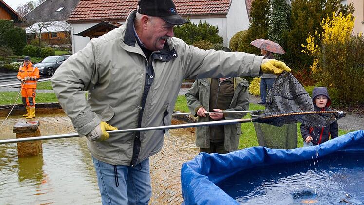Georg Wehner hat beim Fischfang kräftig unterstützt. Hier lässt er einen Goldfisch in das extra für die Tiere bereitgestellte Faltbecken plumpsen. Links im Bild ist Michael Rottenberger zu sehen. Foto: Kathrin Kupka-Hahn