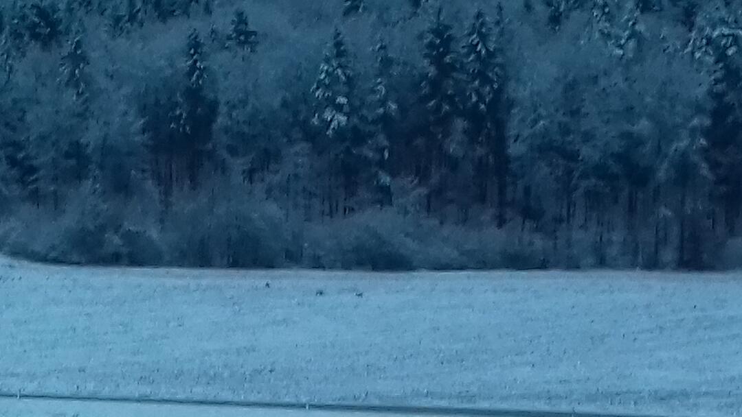 Leserbilder: Der erste Schnee in Franken