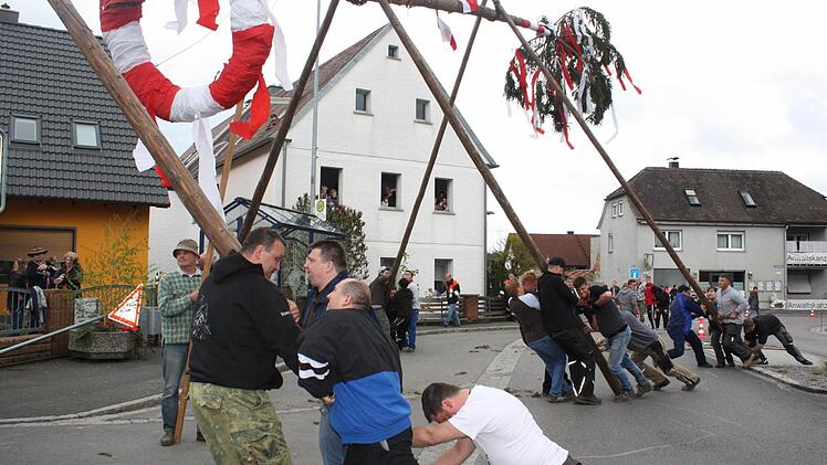 Nur eine knappe Stunde dauerte es, bis der Kirchweihbaum in Hemhofen stand.  Foto: Sonja Werner