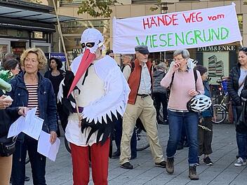 Mit Storch: Plakativer Widerstand gegen eine Br&uuml;cke der Stadt-Umland-Bahn im Wiesengrund.  Fotos: Isabel Gaschler