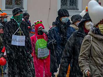 Erlangen: Querdenker-Selbsthilfegruppe für Mittelfranken "Verquerte Welt"