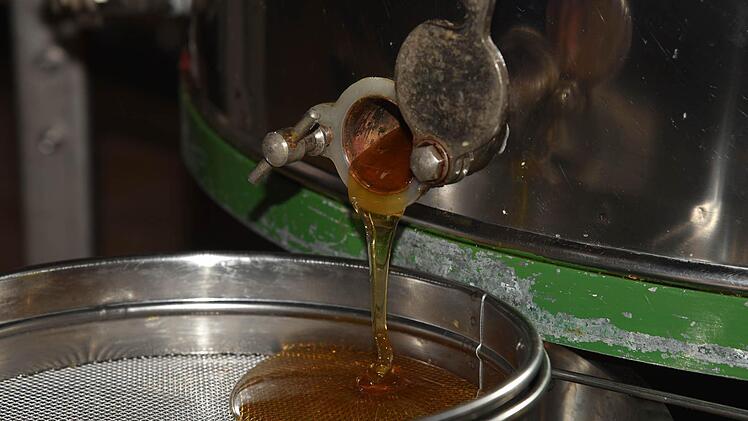 Der erste Sommerhonig läuft frisch aus dem Hahn der Schleudermaschine. Foto: Gabi Arnold