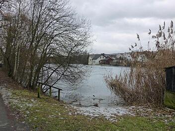 Am Zeiler Stadtsee soll sich einiges ändern. 2018 steht das Stadtjubiläum an. So steigt man jetzt in das Leader-Projekt des Kreises mit ein. Fotos: Ulrike Langer