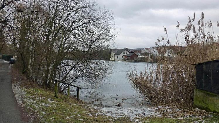 Am Zeiler Stadtsee soll sich einiges ändern. 2018 steht das Stadtjubiläum an. So steigt man jetzt in das Leader-Projekt des Kreises mit ein. Fotos: Ulrike Langer