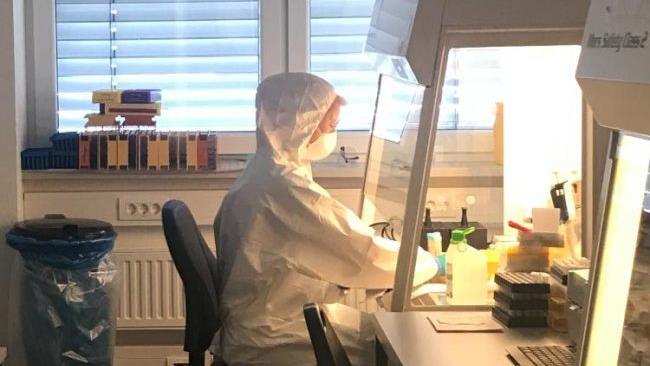 Unter gro&szlig;en Sicherheitsvorkehrungen werden beim Labor Laboklin in Bad Kissingen die Corona-Proben ausgewertet.  Foto: Sabine B&ouml;hmer