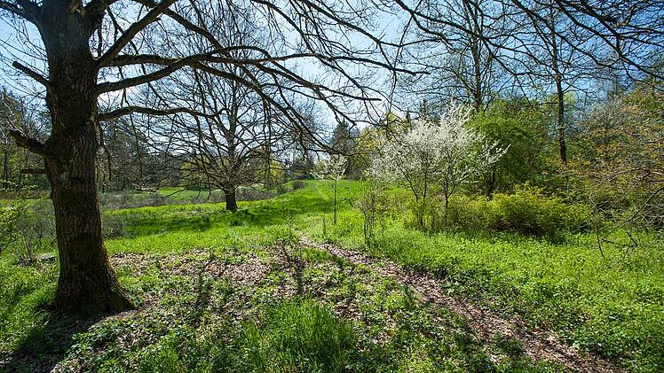 N&uuml;rnberg: Schutzzeiten f&uuml;r "Pflanzen und Tiere" im Pegnitztal Ost
