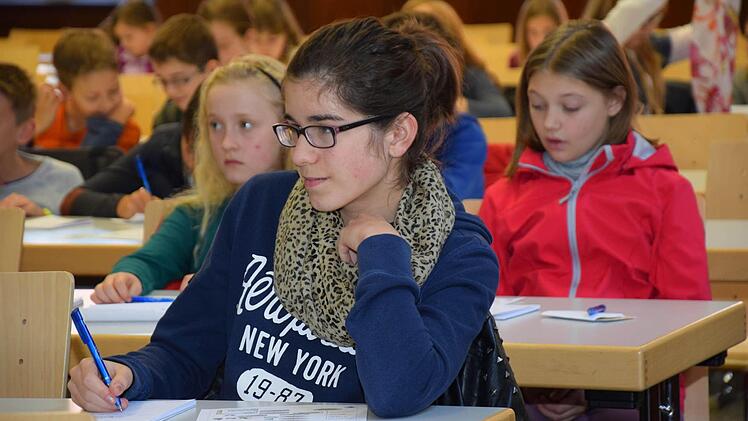 "Suchen und finden im Internet" - darum ging es in der Kinder-Uni-Vorlesung von Andreas Henrich - hier in Bamberg. Foto: Universität Bamberg
