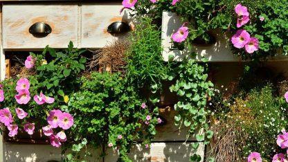 Blumen d&uuml;rfen auf keinem Balkon fehlen - besonders beliebt: Eine Mischung von Kr&auml;uterpflanzen und Blumen. Foto: congerdesign/pixabay.com