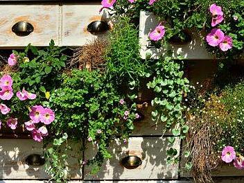 Blumen dürfen auf keinem Balkon fehlen - besonders beliebt: Eine Mischung von Kräuterpflanzen und Blumen. Foto: congerdesign/pixabay.com