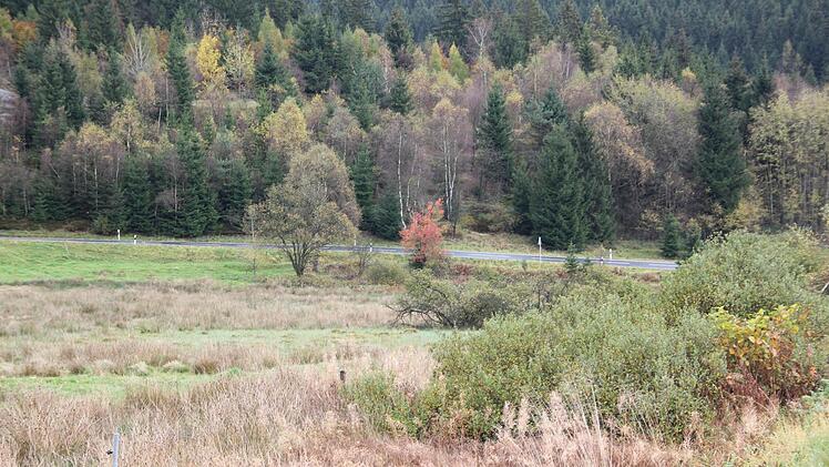 Blick vom Sportplatz aus in Richtung der Straße nach Spechtsbrunn