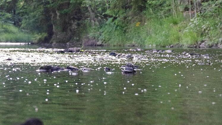 An der Wilden Rodach. Foto: Marco Meißner