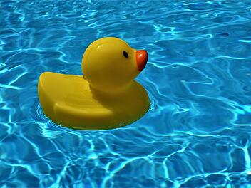Symbolbild: Gummi-Ente im Pool, Hitze