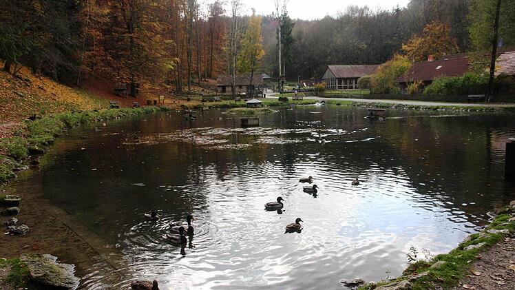 Herbststimmung im Tierpark Hundshaupten. Foto: Franz Galster