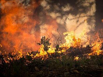 Waldbrandgefahr im Freistaat! Franken und die Oberpfalz sind davon bedroht. Der Deutsche Wetterdienst informiert derzeit, wo es kritisch werden kann. Symbolbild: pixabay.com / skeeze