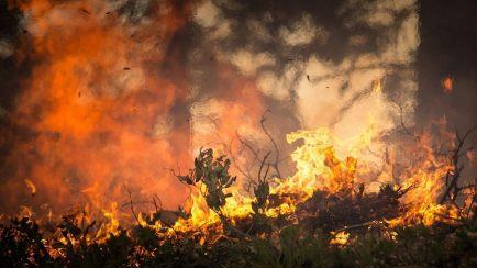 Waldbrandgefahr im Freistaat! Franken und die Oberpfalz sind davon bedroht. Der Deutsche Wetterdienst informiert derzeit, wo es kritisch werden kann. Symbolbild: pixabay.com / skeeze