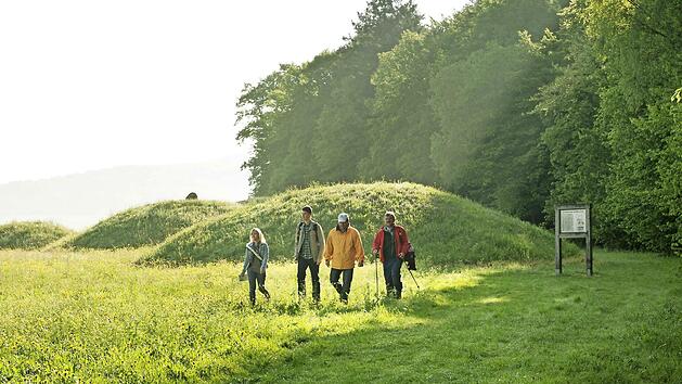 Viel Grün erwartet die Wanderer im Bamberger Umland.