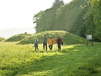 Viel Grün erwartet die Wanderer im Bamberger Umland.
