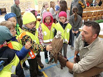 Auch die Kindergartenkinder zeigten keine Scheu vor dem Jagdfalken. Foto: Richard Sänger