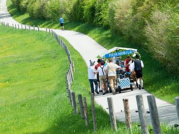 Wandern ist ein Klassiker am Vatertag. Wo es sich lohnt, in Franken hinzuwandern. Foto: Peter Kneffel, dpa