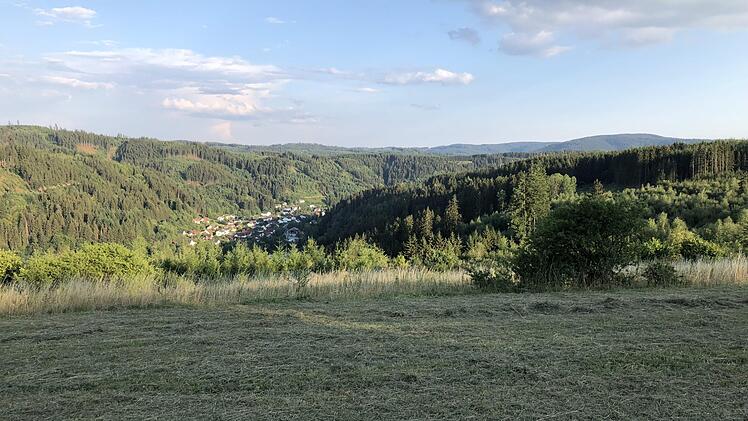 Ein Blick vom geplanten Standort aus in Richtung Steinwiesen. Foto: Alexander Löffler