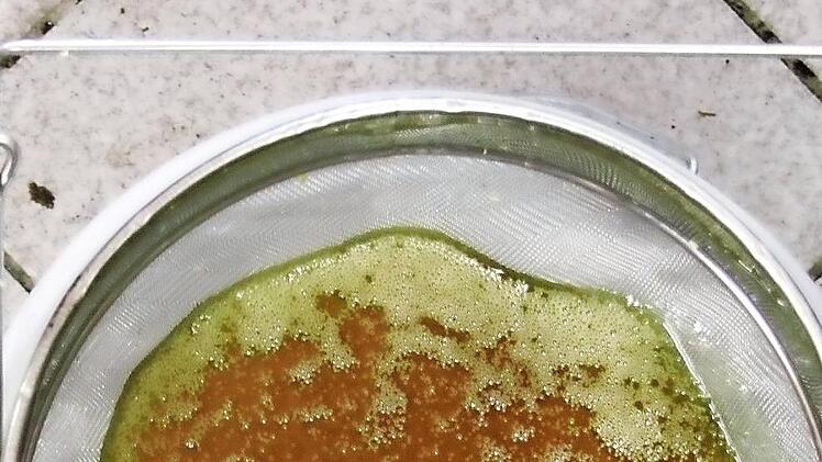 Einmal Schleudern, bitte: Nicht sehr ergiebig, die Melezitosetracht