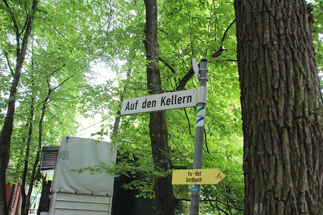 Aufbau im Kellerwald