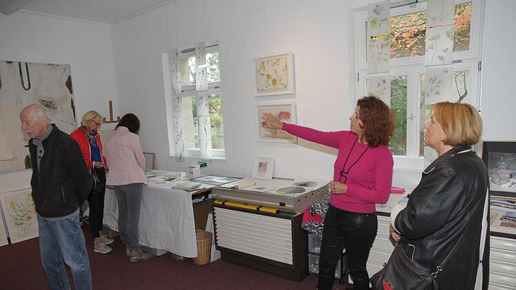 Die Besucher konnten sich im Atelier der Eggolsheimer Künstlerin Michaela Schwarzmann umsehen und dort ihre und die Werke zweier weiterer regionaler Künstler betrachten.   Mathias Erlwein