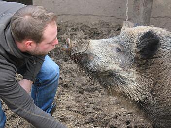 Die innige Freundschaft von Tobias Wallrapp mit Wildschwein Odin gibt es jetzt als Kinderbuch. Foto: Diana Kraemer
