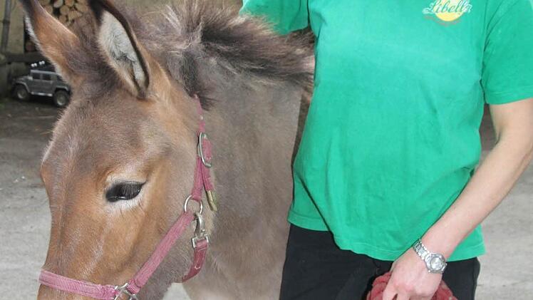 Nein, Mulis sind nicht stur, nimmt Maja Joel die beiden Mulis namens Emma und Paula in Schutz.
