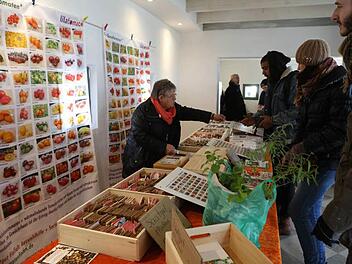 260 verschiedene Tomatensorten präsentierte Gärtnermeisterin Melanie Grabner an ihrem Stand. Fotos: Barbara Herbst