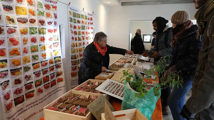 260 verschiedene Tomatensorten präsentierte Gärtnermeisterin Melanie Grabner an ihrem Stand. Fotos: Barbara Herbst