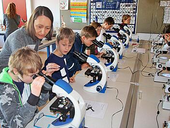 Fliegenbeine in vielfacher Vergrößerung sahen die Buben und Mädchen, die  zum Informationstag im Gymnasium gekommen waren, in vielfacher  Vergrößerung. Foto: Dieter Britz