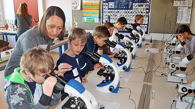 Fliegenbeine in vielfacher Vergrößerung sahen die Buben und Mädchen, die  zum Informationstag im Gymnasium gekommen waren, in vielfacher  Vergrößerung. Foto: Dieter Britz