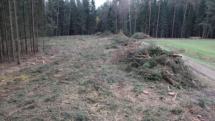 Das für Hackschnitzel vorgesehene Material ist zu Haufen aufgeschichtet.  Foto: Friedwald Schedel
