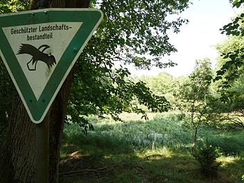 Der Buchsee liegt in einem ökologisch wertvollen Teil des Oberthulbaer Waldes.Foto: Arkadius Guzy